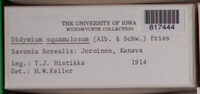 Image Associated With the Occurence